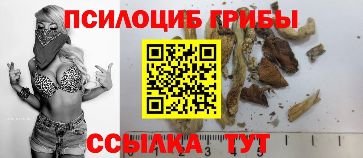 Галлюциногенные грибы Cubensis Кулебаки